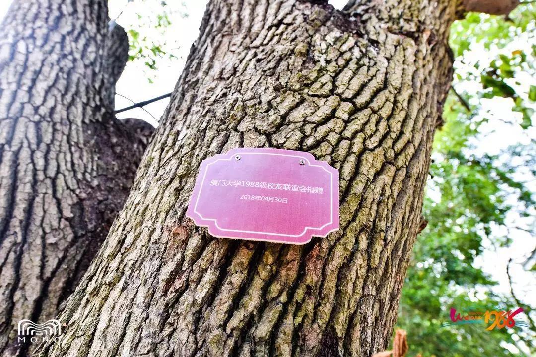 微信图片_20180503084106.jpg 微信图片_20180503084106.jpg